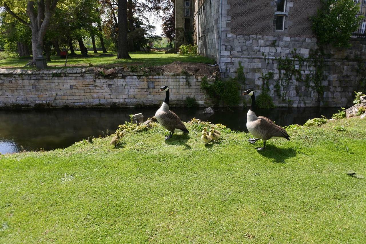 B & B Kasteelhoeve Borgharen - Маастрихт Экстерьер фото